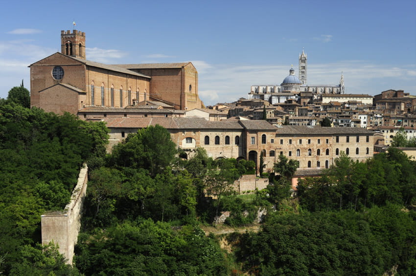 siena in tour local guide for siena and its surroundings